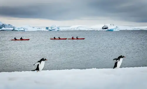 Antarctica - Basecamp - free camping, kayaking, snowshoe/hiking, photo workshop, mountaineering - gallery 19