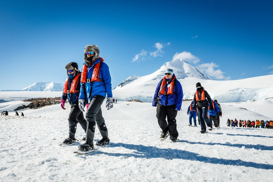 Antarctica - Basecamp - free camping, kayaking, snowshoe/hiking, photo workshop, mountaineering - gallery 20