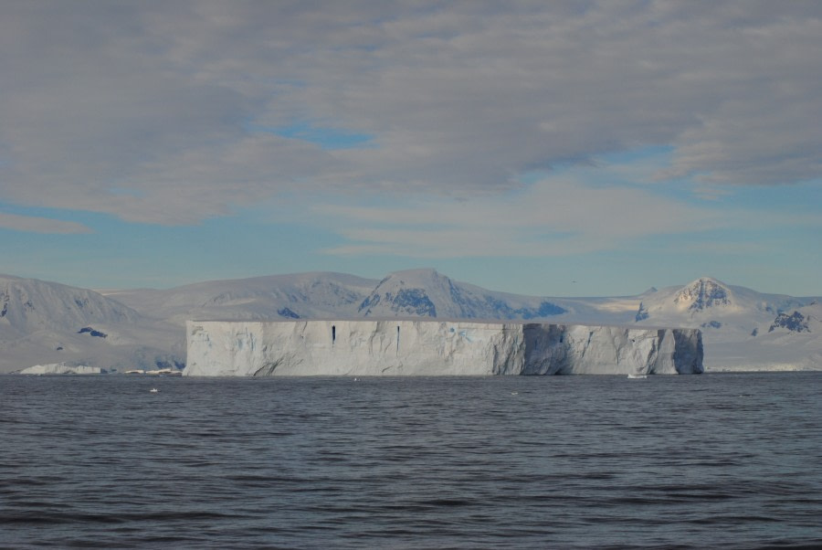 Antarctica - Beyond the Polar Circle - whale watching - gallery 4