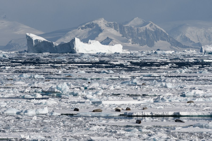 Antarctica - Beyond the Polar Circle - Wilkins Ice Shelf - Aurora Australis - gallery 0