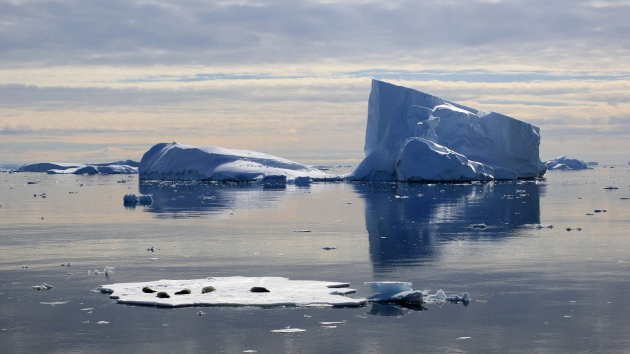 Antarctica - Beyond the Polar Circle - Wilkins Ice Shelf - Aurora Australis - gallery 1