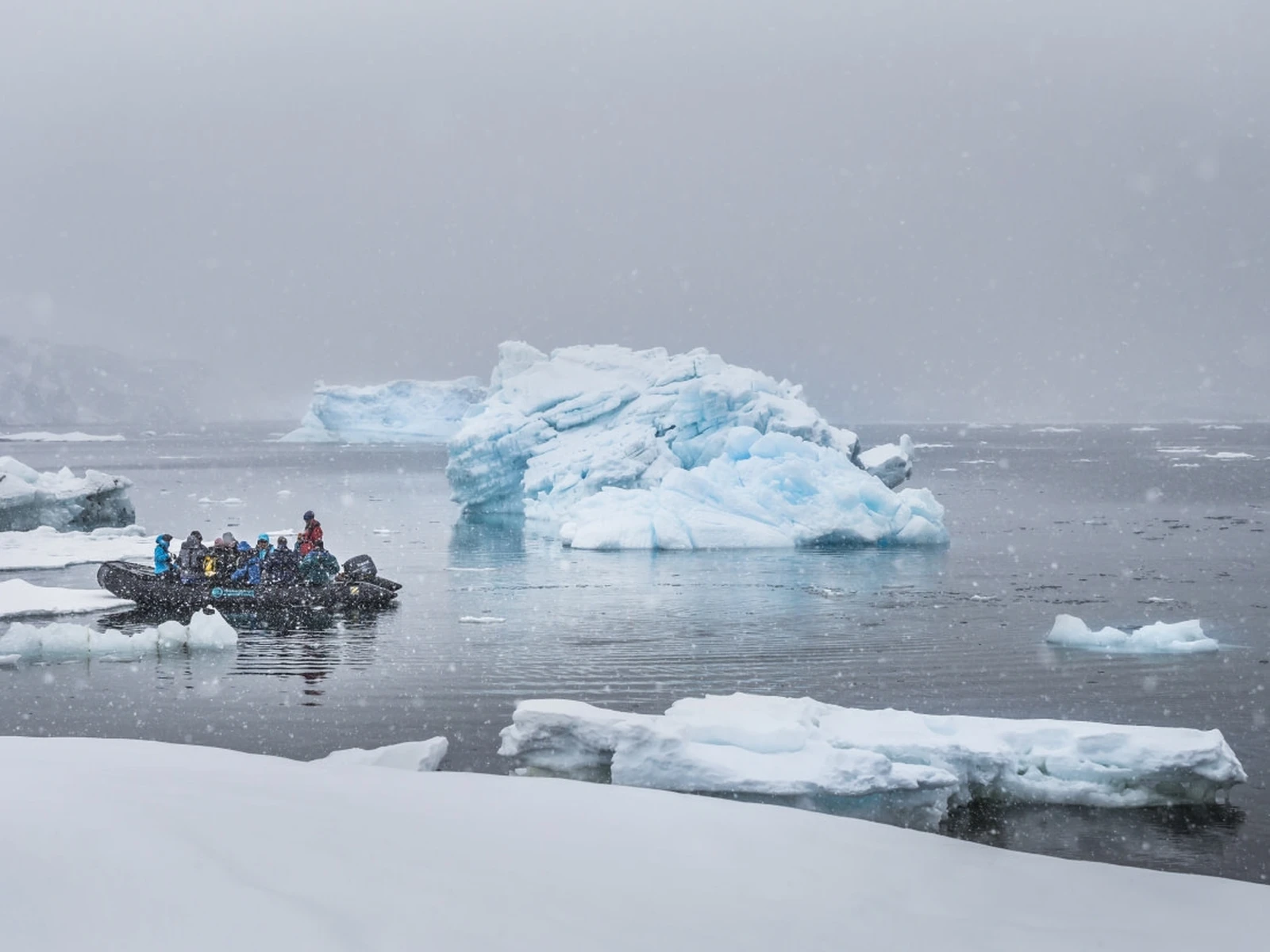 Antarctica - Discovery and learning + Long hikes - gallery 2