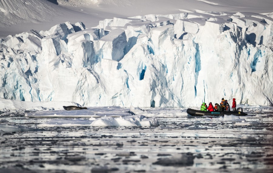 Antarctica - Discovery and learning voyage + navigational workshop - gallery 3