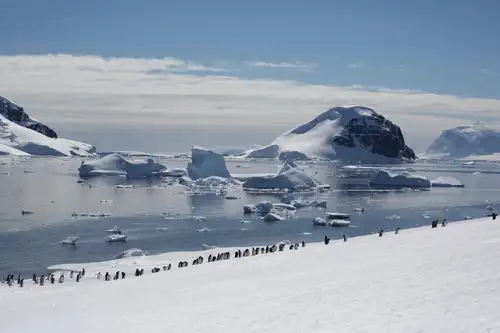 Antarctica - Discovery and learning voyage + navigational workshop - gallery 2