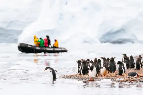 Antarctica - Discovery and learning voyage - gallery 15