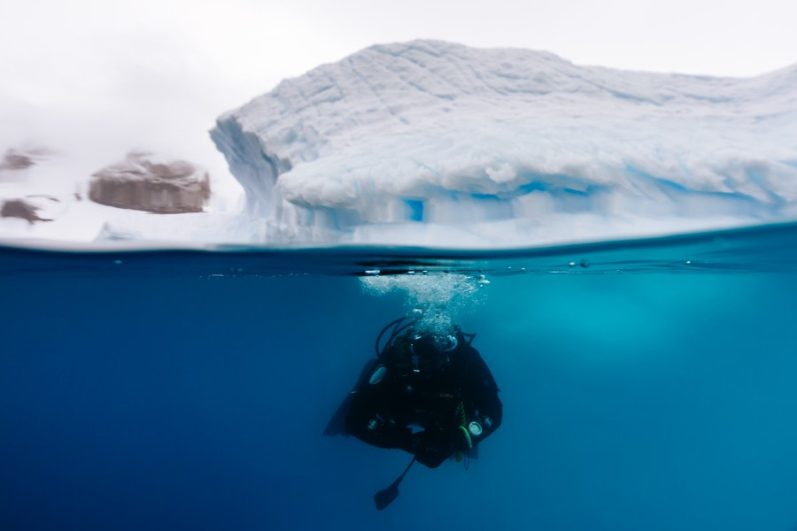 Antarctica - Discovery and learning voyage - gallery 14