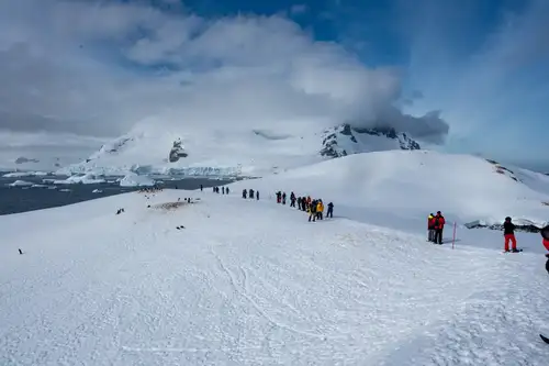 Antarctica - Elephant Island - Weddell Sea - Polar Circle - gallery 5