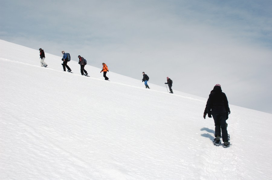 Antarctica - Elephant Island - Weddell Sea - Polar Circle - gallery 3