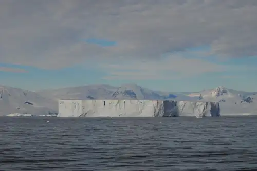 Antarctica - Polar Circle - Whale watching - gallery 4