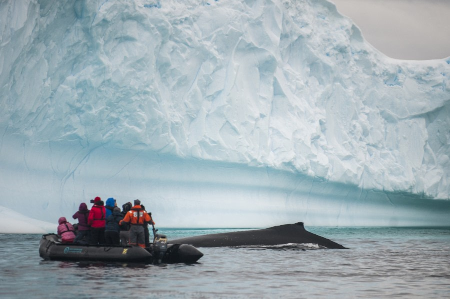 Antarctica – Uncharted islands of the Deep South - gallery 2