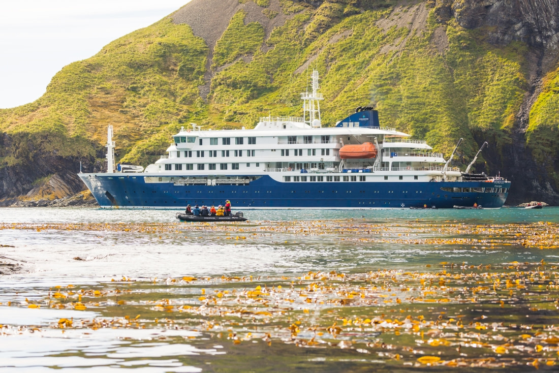Antarctica - Whale watching discovery and learning voyage - Aurora Australis / Southern Lights - gallery 2