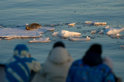 Arctic Ocean - Fair Isle, Jan Mayen, Ice edge, Spitsbergen, Birding - Summer Solstice - gallery 5