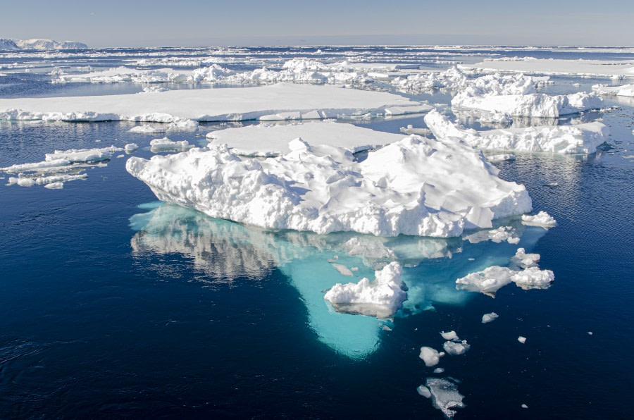 Arctic Ocean - Fair Isle, Jan Mayen, Ice edge, Spitsbergen, Birding - Summer Solstice - gallery 4