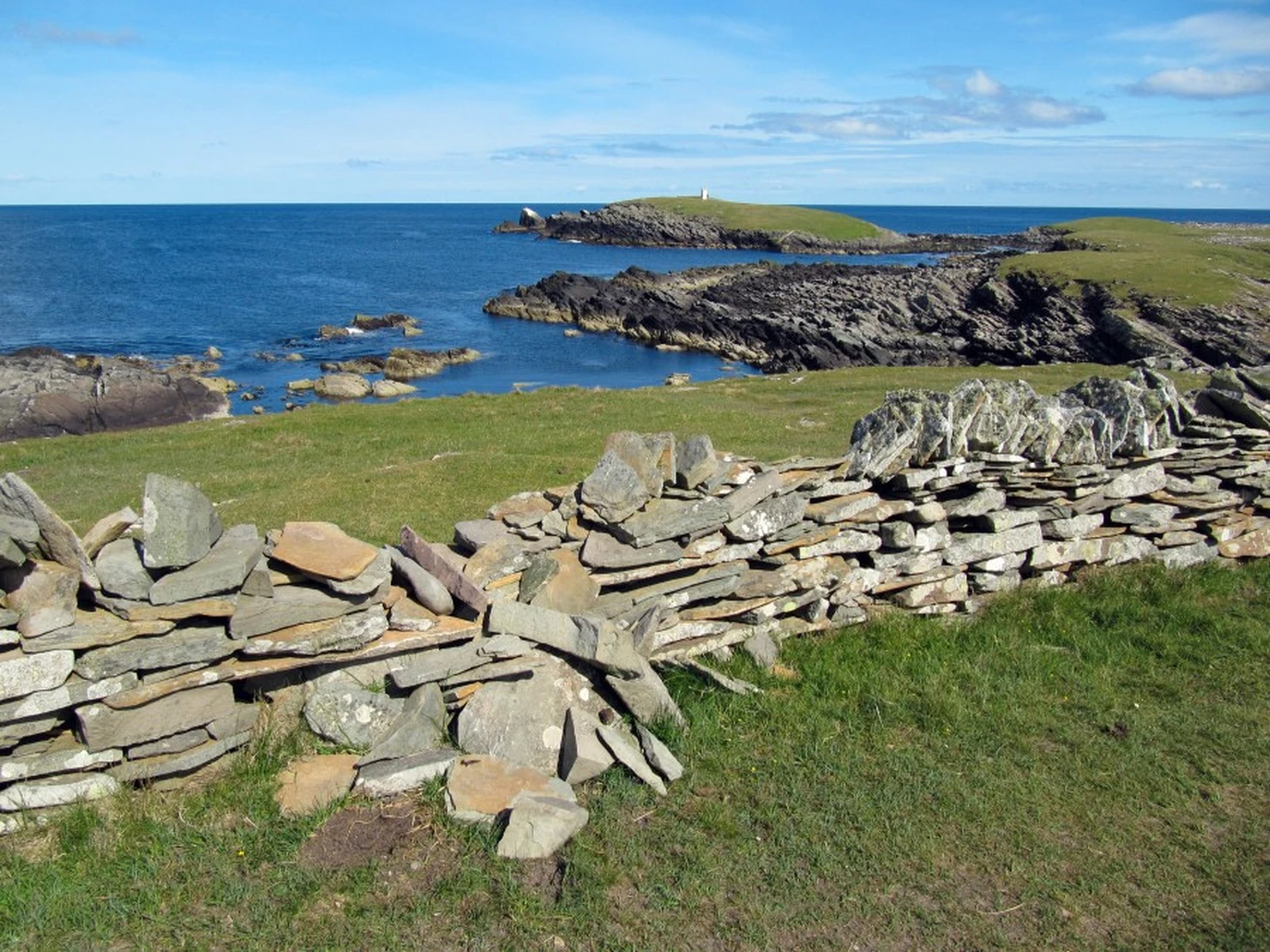 Arctic Ocean - Fair Isle, Jan Mayen, Ice edge, Spitsbergen, Birding - gallery 2