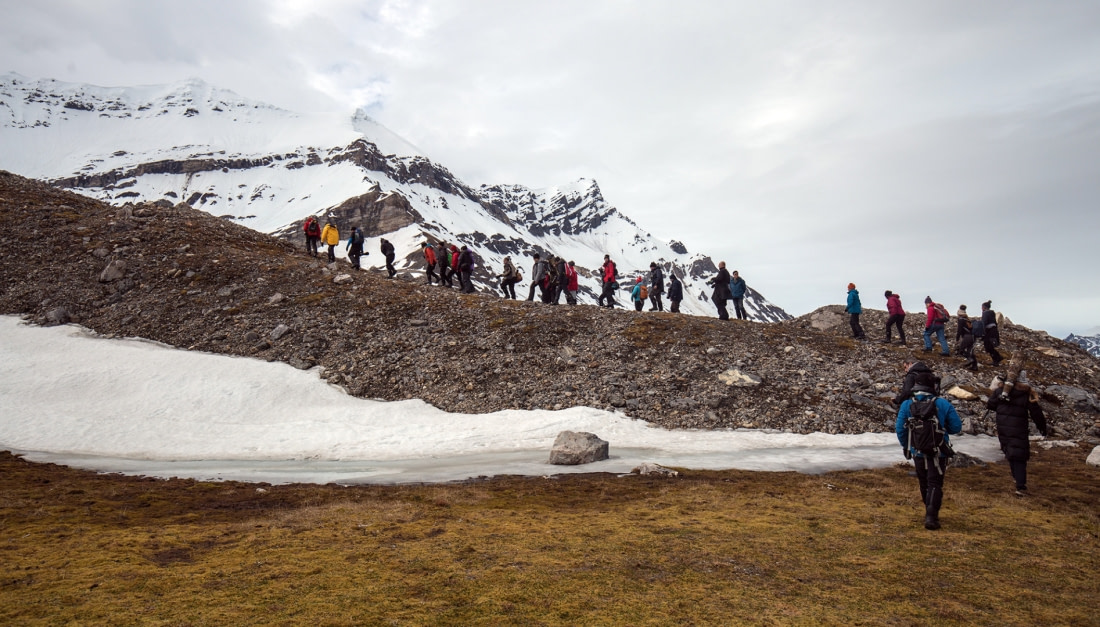 Arctic Ocean - Fair Isle, Jan Mayen, Ice edge, Spitsbergen, Birding - gallery 2