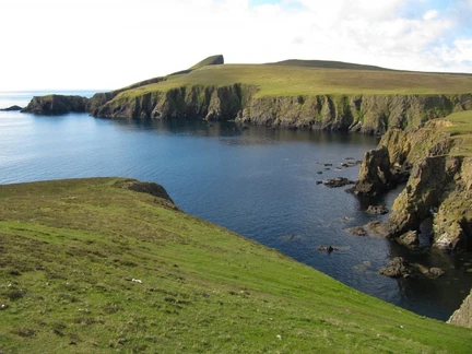 Arctic Ocean - Fair Isle, Jan Mayen, Ice edge, Spitsbergen, Birding - gallery 1