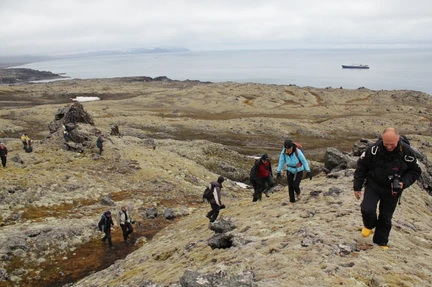 Arctic Ocean - Fair Isle, Jan Mayen, Ice edge, Spitsbergen, Birding - gallery 3