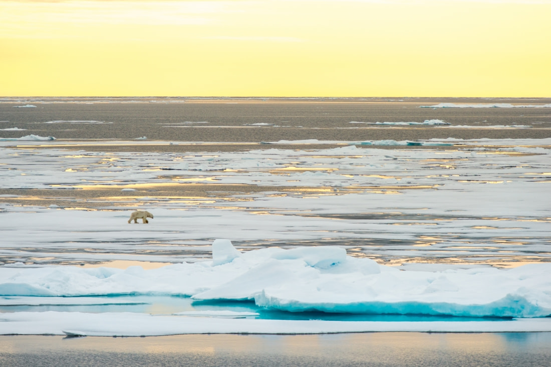 Around Spitsbergen and Nordaustlandet - gallery 4