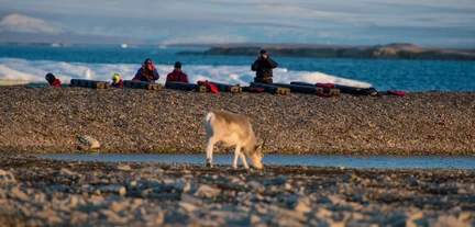 Around Spitsbergen and Nordaustlandet - gallery 0