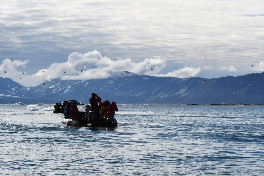 Around Spitsbergen, In the realm of Polar Bear & Ice - gallery 0