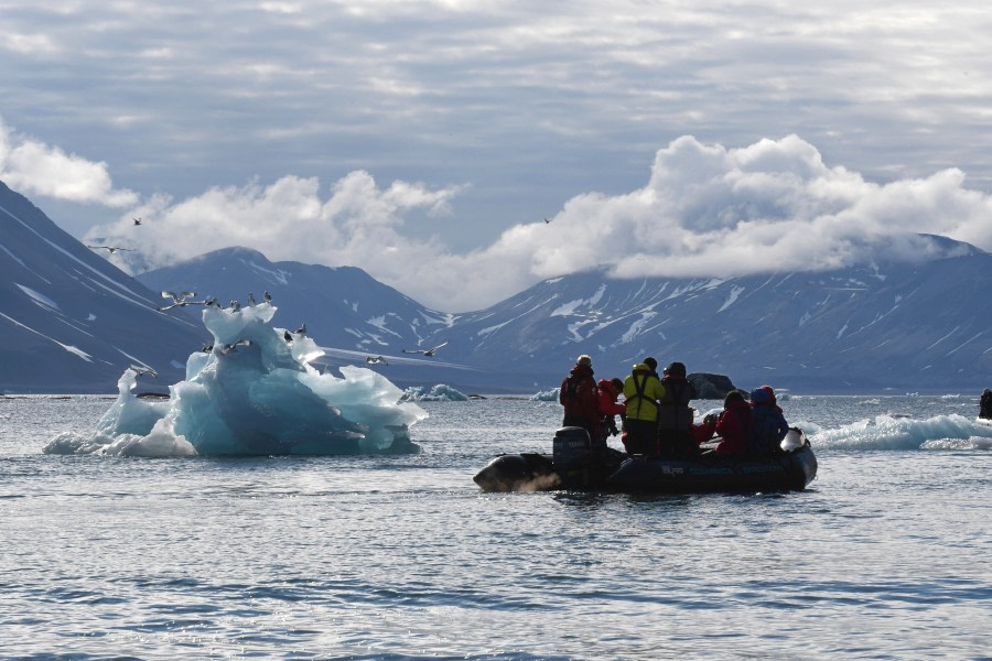 Around Spitsbergen, In the realm of Polar Bear & Ice - gallery 9