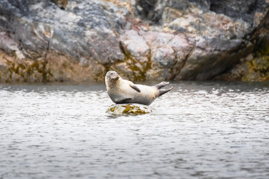 Around Spitsbergen, In the realm of Polar Bear & Ice - gallery 18