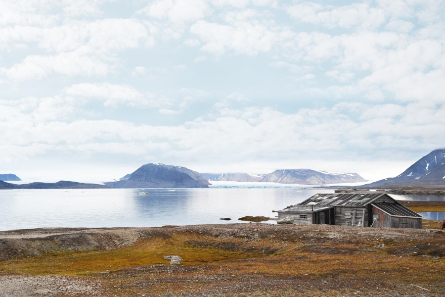 Around Spitsbergen, In the realm of Polar Bear & Ice - gallery 21