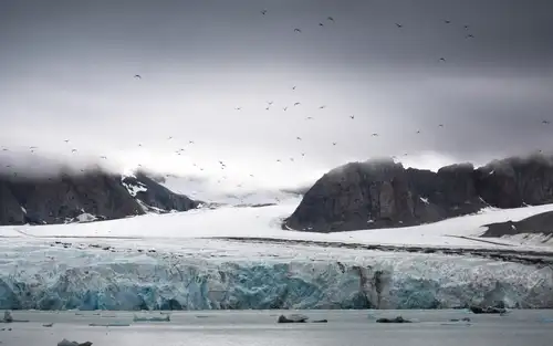 Around Spitsbergen, In the realm of Polar Bear & Ice - gallery 4