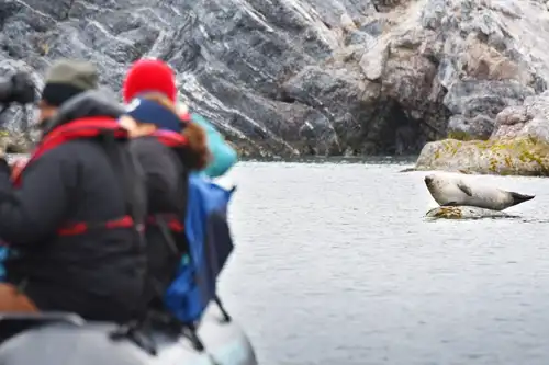 Around Spitsbergen, In the realm of Polar Bear & Ice - gallery 3