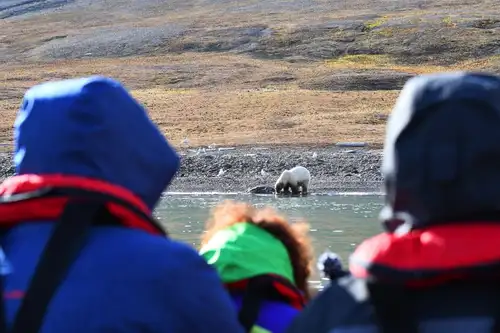 Around Spitsbergen, In the realm of Polar Bear & Ice - gallery 5