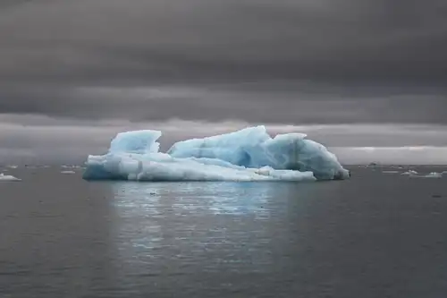 Around Spitsbergen, In the realm of Polar Bear & Ice - gallery 11