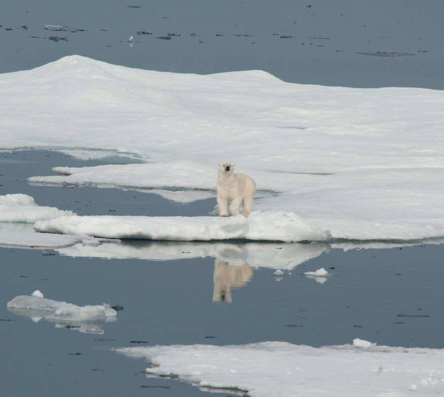 East and South Greenland Explorer, Aurora Borealis, Incl. flight from Narsarsuaq to Copenhagen - gallery 1