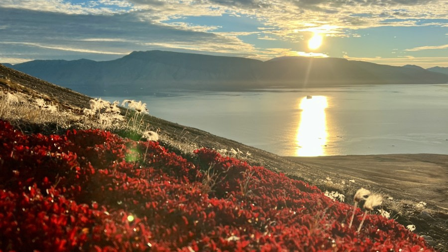 East and South Greenland Explorer, Incl. flight from Narsarsuaq to Copenhagen - gallery 4