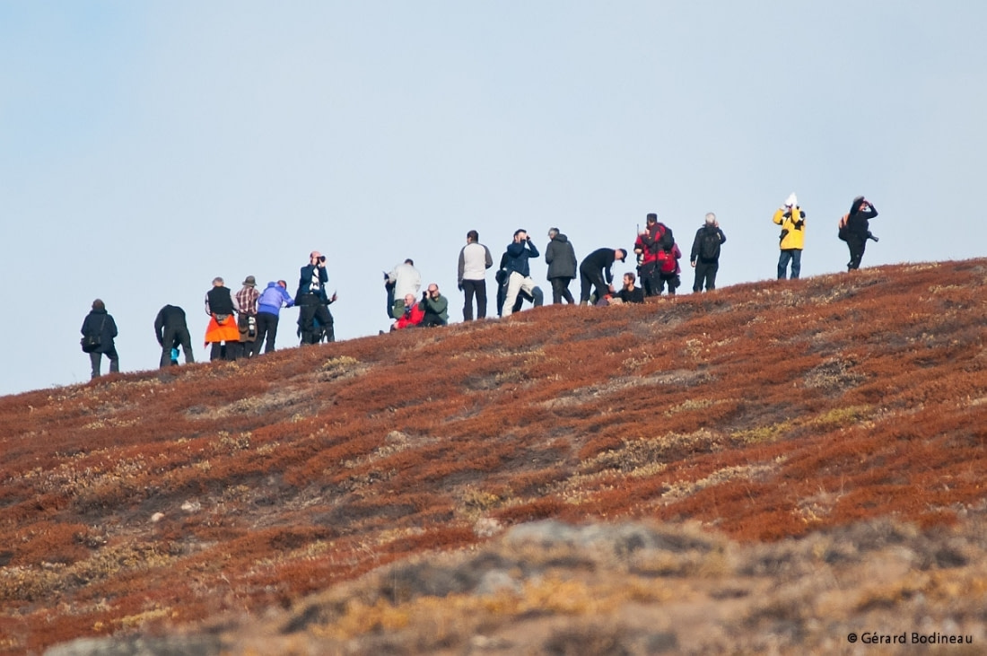 East Greenland, Scoresby Sund - Aurora Borealis, Fly & Sail - gallery 1