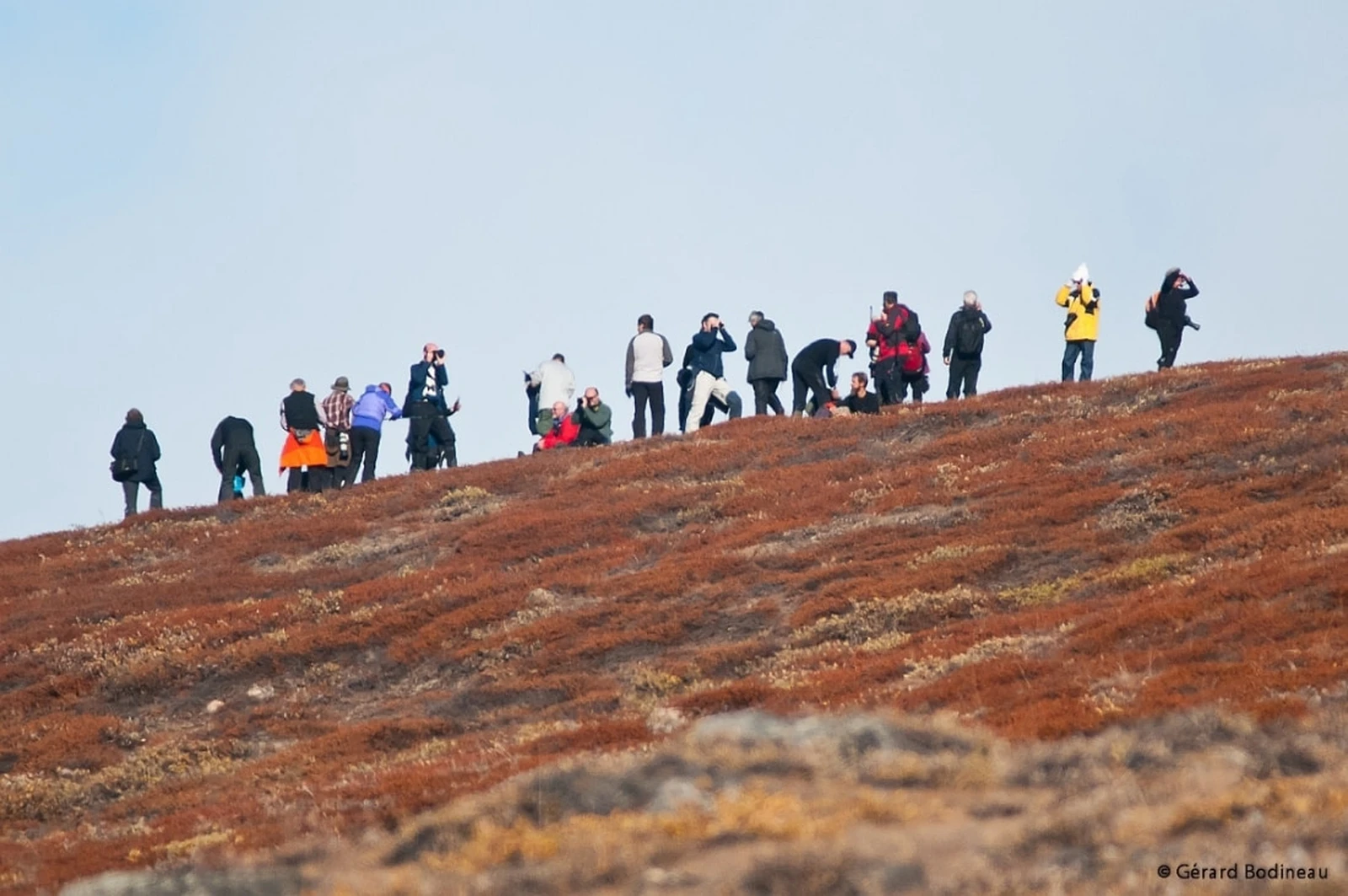 East Greenland, Scoresby Sund - Aurora Borealis, Fly & Sail - gallery 2