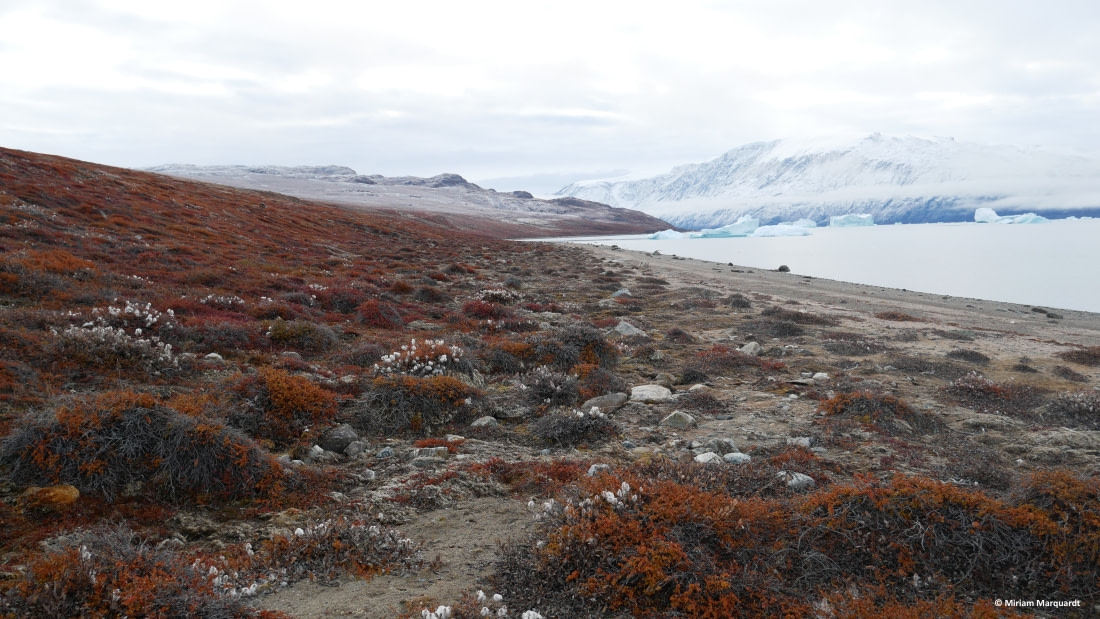 East Greenland, Scoresby Sund - Aurora Borealis, Fly & Sail - gallery 5