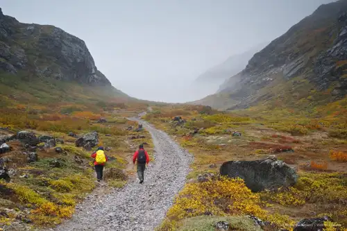 East Greenland, Scoresby Sund - Aurora Borealis, Including Long Hikes - gallery 8