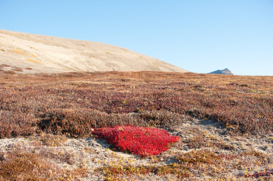 East Greenland, Scoresby Sund - Aurora Borealis, Including Long Hikes - gallery 12