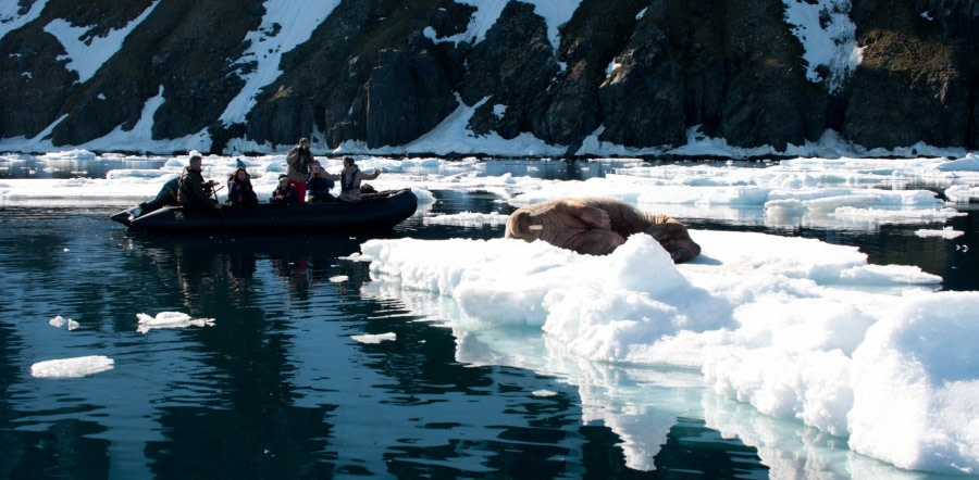 East Spitsbergen - Home of the Polar Bear, Including Long Hikes & Cleaning the Shores - gallery 4