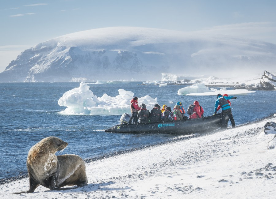 Falkland Islands – South Georgia –  Antarctica - gallery 3