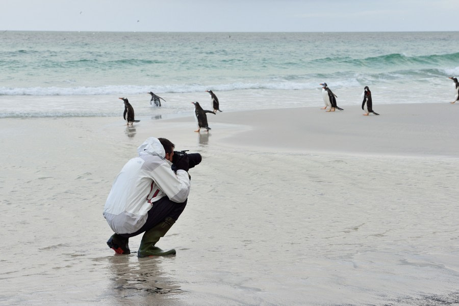 Falkland Islands - South Georgia - Antarctica - gallery 8