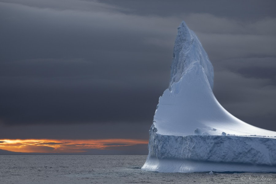 Falkland Islands - South Georgia - Antarctica - gallery 22