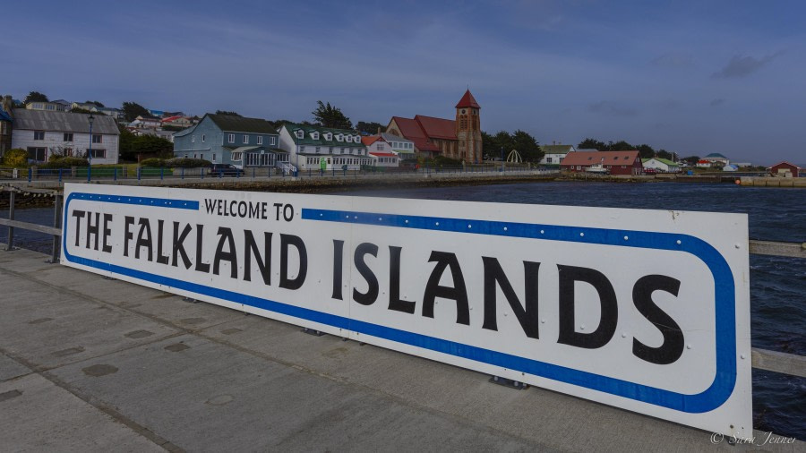 Falkland Islands – South Georgia –  Antarctica - gallery 23