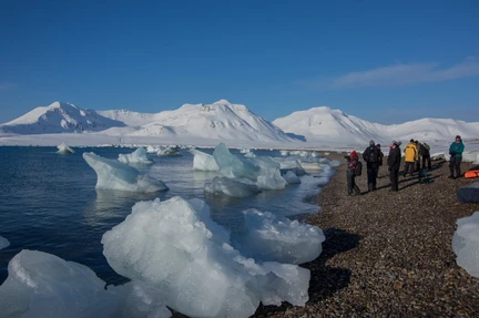 North Spitsbergen - Arctic Spring , Birding Special - gallery 5