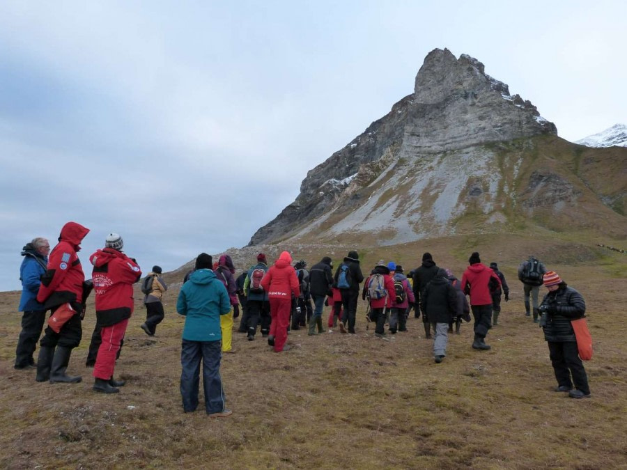 North Spitsbergen, Arctic Summer - Summer Solstice - gallery 4