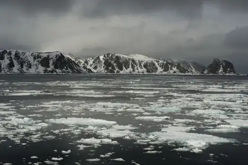 North Spitsbergen, Arctic Summer - gallery 4