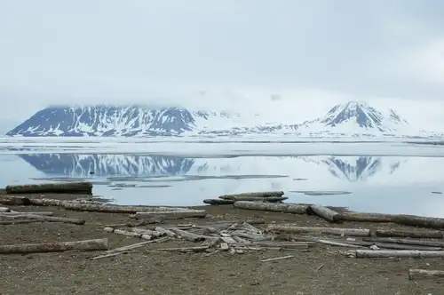 North Spitsbergen - Arctic Summer - gallery 7