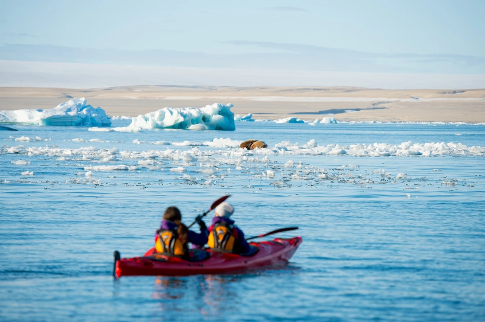 North Spitsbergen Basecamp – Summer Solstice - Free Kayaking, Hiking, Photo Workshop, Diving (supplemented) - gallery 0