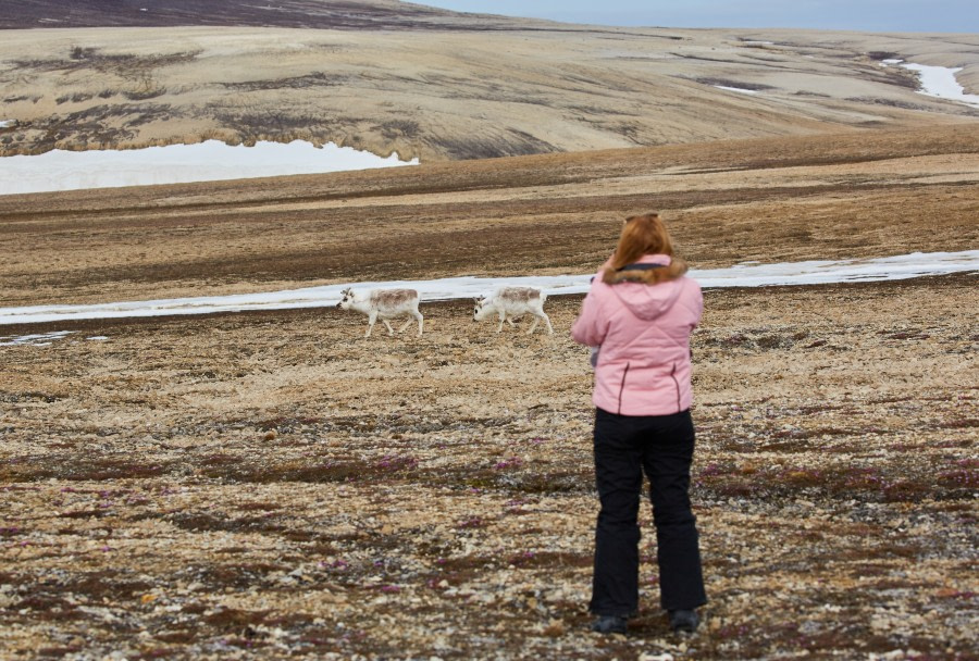 North Spitsbergen Explorer - Versatile landscapes, sea ice & wildlife - Summer Solstice - gallery 0