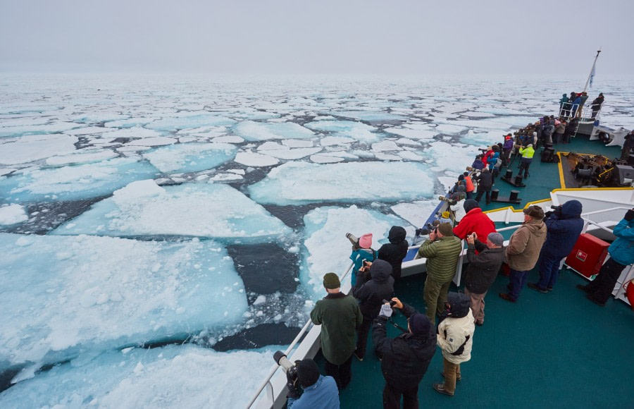 North Spitsbergen Explorer - Versatile landscapes, sea ice & wildlife - gallery 0